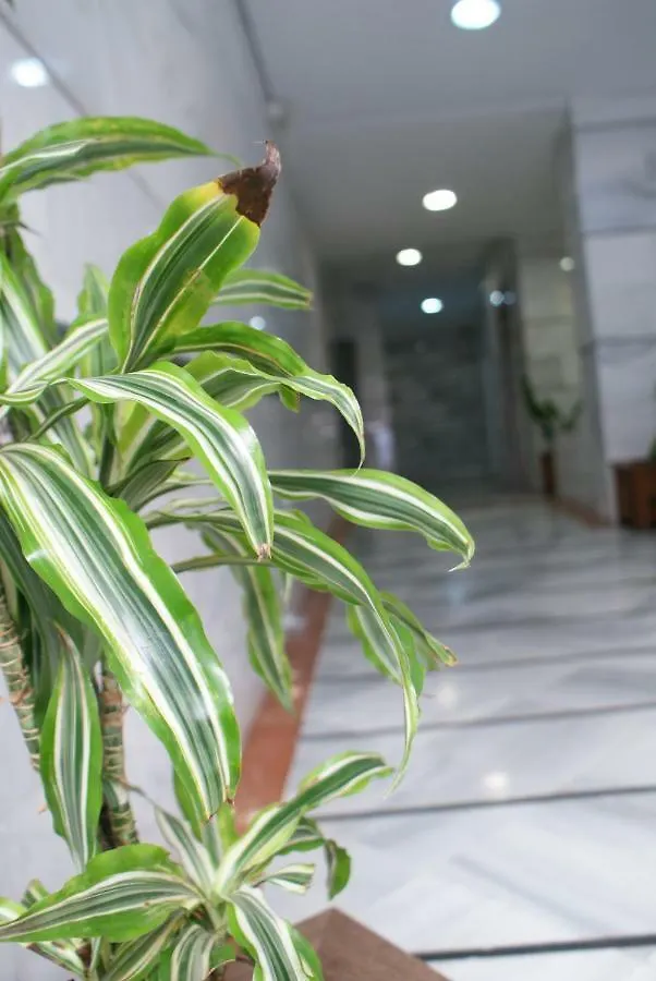 Apartmán Calma Chicha Màlaga Španělsko